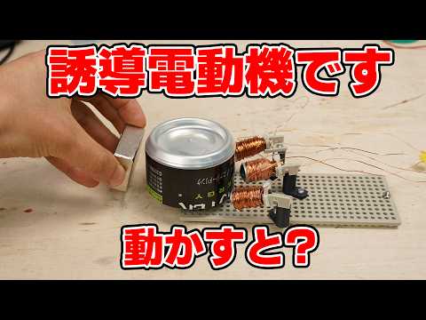 Build your own induction motor