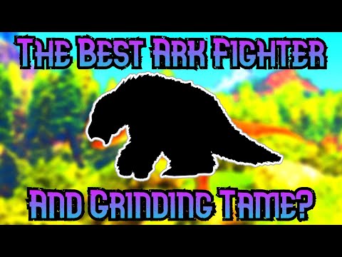 The Top 10 Best Ark Grinders And Fighters!