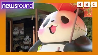 Panda Festival and a cute baby Hippo | Happy News | Newsround