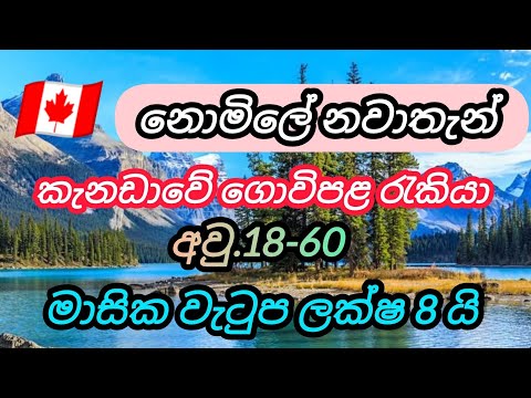 කැනඩාවේ ගොවිපළ රැකියා. අවු.18-60 වැටුප් ලක්ෂ 8 යි farm foreign job vacancies in canada free visa