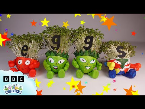 🌱 Grow Your Own Easy Cress! | Arts and Crafts 🎨 | Learn to Read | @officialalphablocks