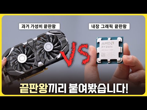 끝판왕 vs 끝판왕! 내장 그래픽과 가성비 그래픽카드를 비교해봤습니다!