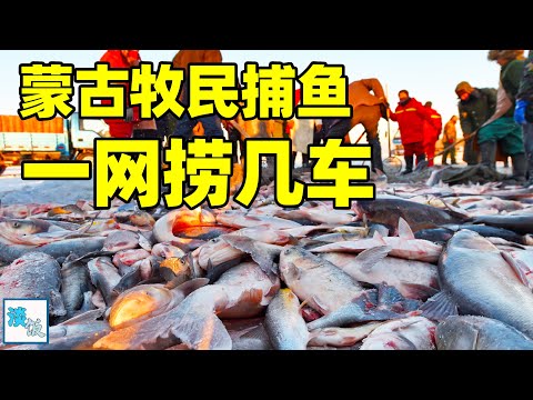 蒙古牧民捕鱼：凿开湖面上的冰层，一网下去能捞几车鱼｜淡饭电影