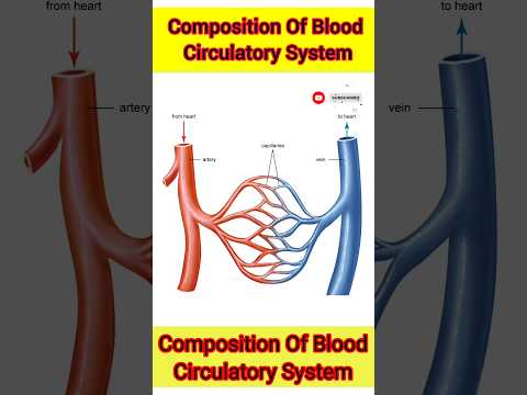 Blood || Composition of Blood || Circulatory System | #Biology #Science #shorts