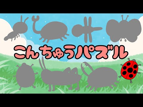 【子供向け】こんちゅうパズル【知育動画 虫 絵合わせ 幼児 幼稚園 生き物 カブトムシ ちょうちょ クワガタ 自作アニメ 言葉 名前】