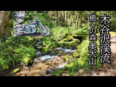 神秘的な天然水の森 奥大山 木谷沢渓流