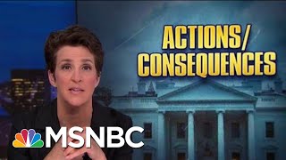 Roiled By Trump Politics, NOAA Seeks Accountability, Atonement | Rachel Maddow | MSNBC