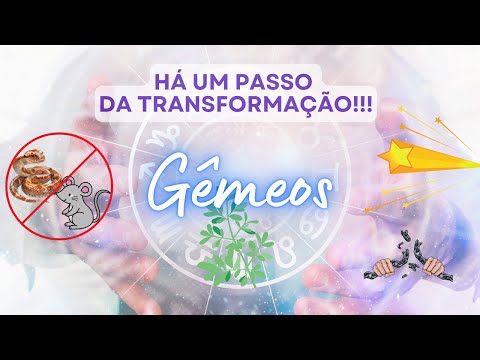 GÊMEOS ♊️ HÁ UM PASSO DA TRANSFORMAÇÃO!!! DA LIBERTAÇÃO!!!