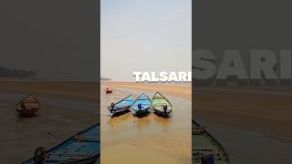 🤯Talsari Beach, Digha: 🌊 A Day in the Life of a Red Crab⚡#shorts #youtubeshorts #viral #digha