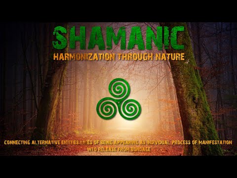 Shamanic Harmonization through Ancestors 2 - Motivation with Reality