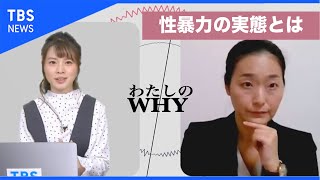 日本の性暴力  実態は？知っておくべきことって？専門家に聞きました【わたしのWHY・皆川玲奈】