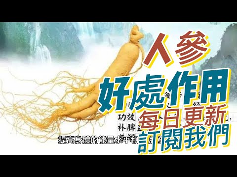 EP145  人蔘ginseng的好處與作用 提升免疫力 調節情緒和減輕壓力 健康  養生 天然 食