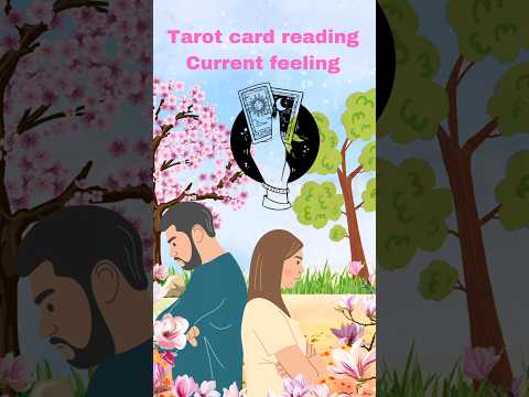 #tarotcardreading #tarotcardreadingpartnercurrentfeeling#tarotcardreadingcurrentfeelingstoday