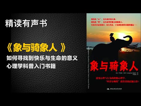 《象与骑象人》