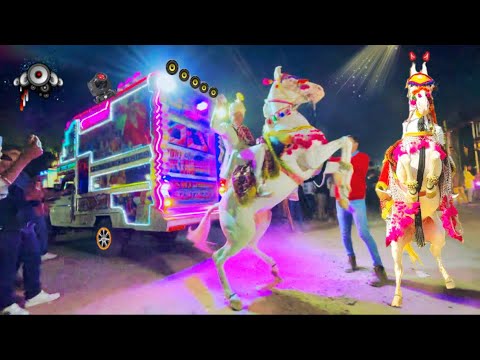 Sapcial Ghodi Dance 2024 - Aaj Mere Yaar Ki Shadi || Sumit Goswami || Rajasthani Superhit Bharat