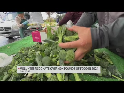 San Jose volunteers surpass 40,000-pound food donation goal for 2024