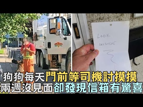 叔叔快過來了！狗狗每天「門前等司機」討摸摸,兩週沒見面卻發現「信箱有驚喜」！｜#寵物動物｜#狗狗｜#感動｜#暖心｜#狗