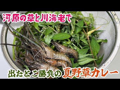 河原の草と川海老で出たとこ勝負の“夏野草カレー”を作る