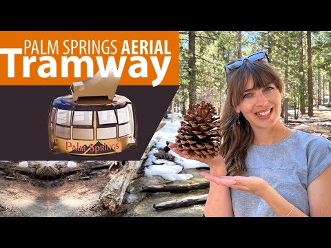 Palm Springs Aerial Tramway **2024** AMAZING VIEWS