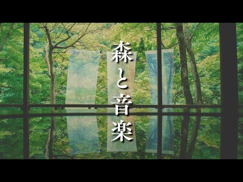 【MarimbaとマイナスイオンのBGM🌲】癒しの作業用&勉強用BGM | 森と音楽