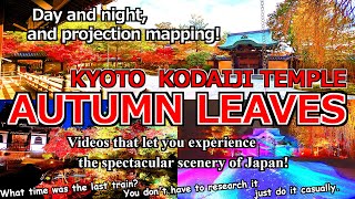 【Kyoto KODAIJI TEMPLE】Autumn leaves kyoto japan travel. Enjoy the beautiful autumn leaves Japan.