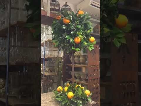 Emitating An Orange Tree With Camella Leaves & Oranges #floraldecorations #shortvideo