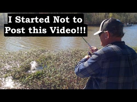 MIND-BLOWING Crappie Catching Techniques You Need to Try!