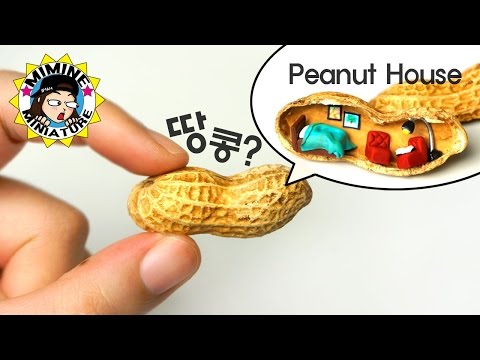 [ENG Sub] Miniature DIY - Peanut House / Mimine Miniature