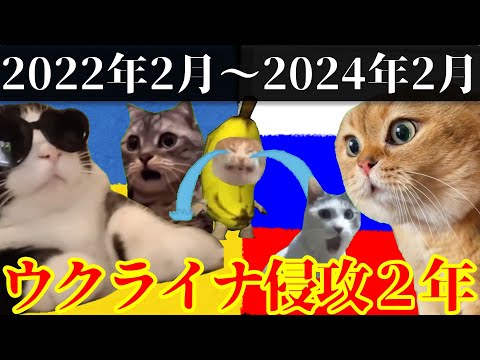 ２年間のウクライナ侵攻を振り返る #猫ミーム #猫マニ #ウクライナ #ロシア