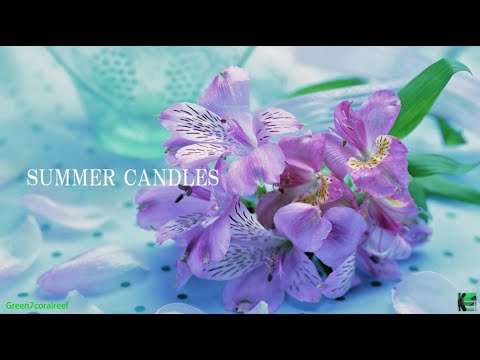 SUMMER CANDLES ｰ 杏里 / ANRI《歌詞付き》