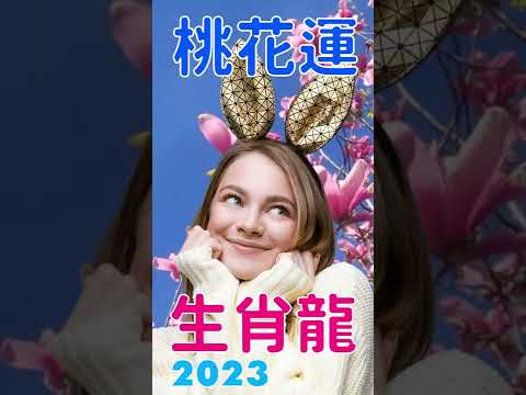 生肖龍 2023水兔年 錢財入庫 走事業運 也有桃花姻緣！#shorts