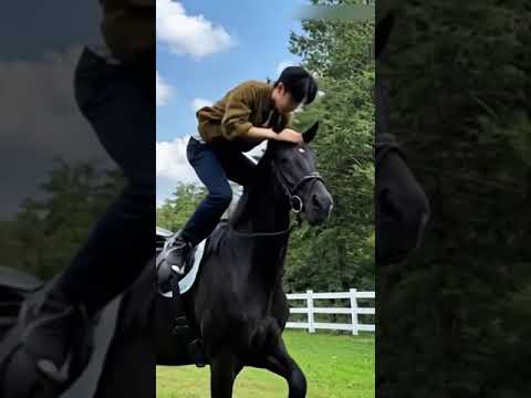 Yoo Yeon  Seok  Riding on Horse ai Video #yooyeonseok #kdrama #shorts