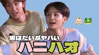 実はだいぶヤバいハニハオ【セブチ/日本語字幕/ジョンハン/ディエイト】