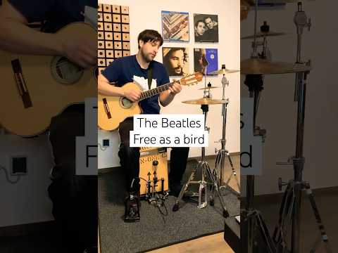 Free as a bird by the Beatles (cover) #beatles #beatlescover #thebeatles #freeasabird #acousticcover