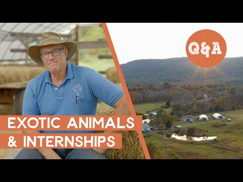 Raising Rare Farm Animals & Polyface Farm Internships | Q&A with Joel Salatin