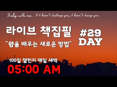 라이브 책집필 (29일차) | 100일 챌린지 | 미라클모닝 | 웹을 배우는 새로운 방법 | Live | Early morning study with me | Writing