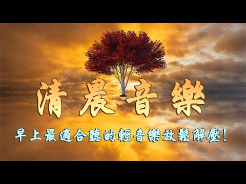 無廣告版 🎶 流水音樂 🎶 水聲音樂, 睡眠轻音乐, 白噪音, 睡眠音樂 輕柔鋼琴和大自然流水聲&鳥鳴聲 ☕ 讀書 & 專心 & 紓壓