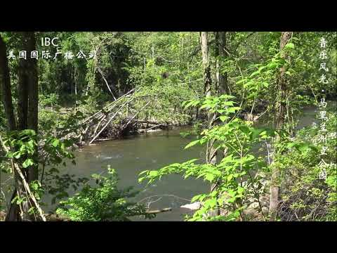 音乐风光《Patapsco Valley State Park》编导：禹昌夏；美国国际广播公司2020年摄制