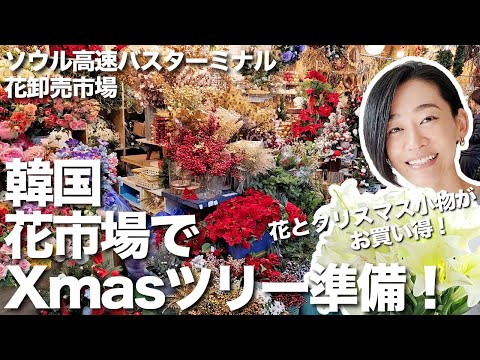 韓国ソウル【花卸売市場】で花とクリスマス小物を購入してツリーの準備〜！！ソウル高速バスターミナル花卸売市場をご紹介します＾＾