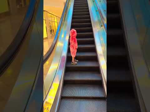 Happy cute pie enjoying the #escalator ride ❤️🥰😃