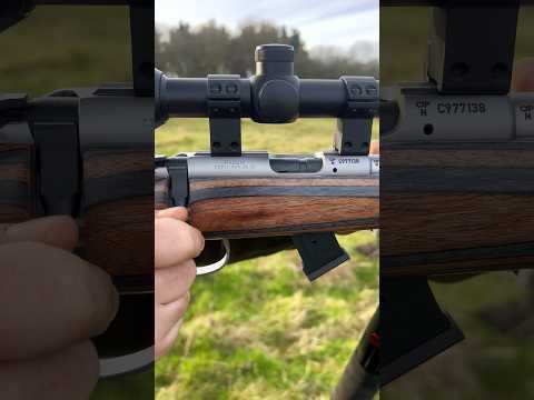 The Silent Assassin: Shooting Steel Gong At 50 Yards With Subsonic Ammo