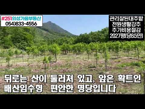 #251 의성가음부동산 가격인하!! 금성산자락 저수지뷰 언덕위 전망좋은 남향 대추밭 2027평 1.72억 (당8.5만원) 수확많음 연못포함 전기 낚시가능 귀농적합 #의성땅#과수농장