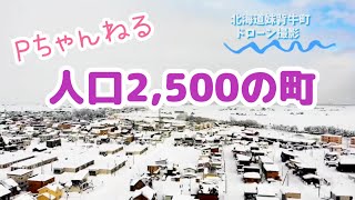 【ドローン撮影】北海道人口2,500人の町。#ドローン空撮