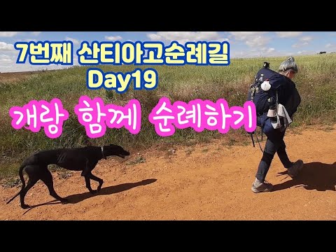 산티아고순례길 19일차!