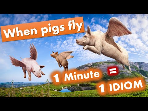 Learn English idiom in just a minute: When pigs fly