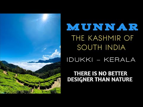 MUNNAR ... THE KASHMIR OF SOUTH INDIA ...#shortsvideo