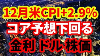 【米国経済】12月米消費者物価指数+2.9％！コア指数予想下回る！ドル安・金利低下