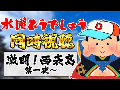 【ロビンソン】藩士と観る『水曜どうでしょう』～激闘！西表島 第一夜から～