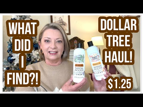 DOLLAR TREE HAUL | WHAT DID I FIND | $1.25 | WOW | DT NEVER DISAPPOINTS😁 #haul #dollartree