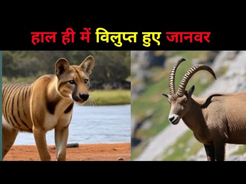 हाल ही में विलुप्त हुए जानवर | Recently extinct animals